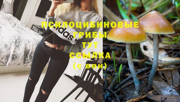 герыч Вязники