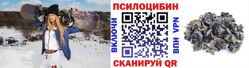 купить наркотики сайты  Власиха  Псилоцибиновые грибы ЛСД 